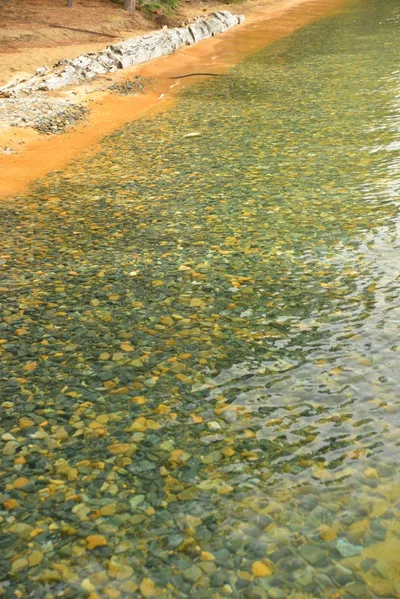 DSC_6781 (Large).JPG